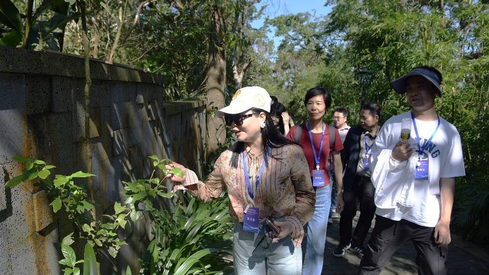 Overseas Chinese Media Voice Strong Expectations for Sanya 2026