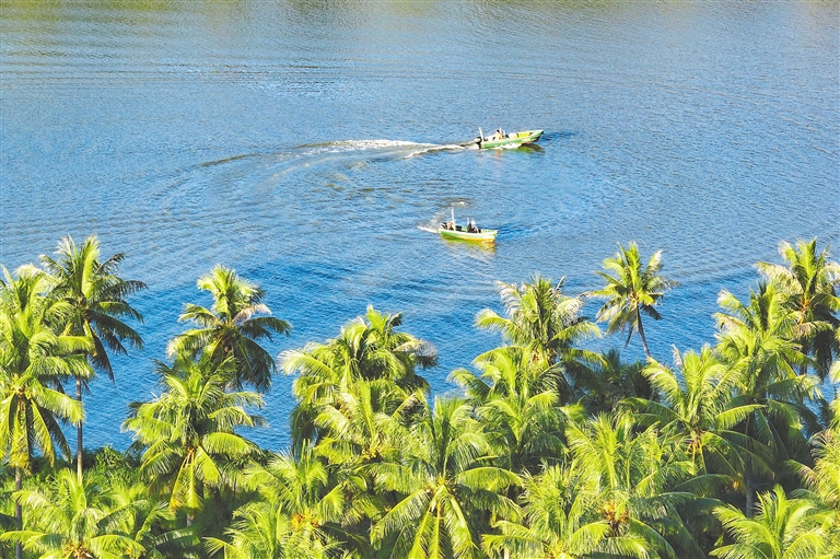 助力第六届亚洲沙滩运动会实现碳中和倡议书